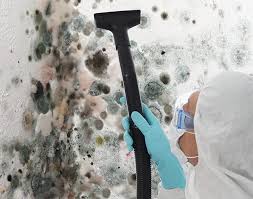 Mold Remediation for Rental Properties in Inverness, CA